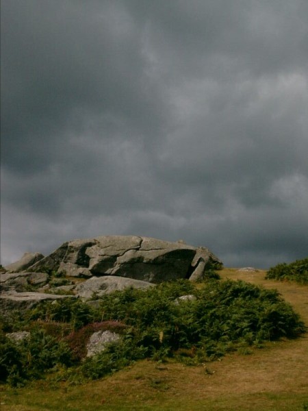 Foto